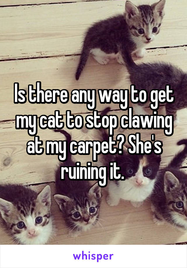 Is there any way to get my cat to stop clawing at my carpet? She's ruining it. 