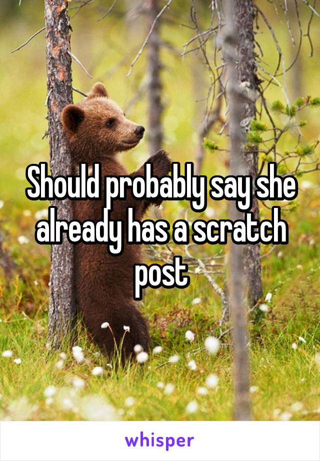 Should probably say she already has a scratch post