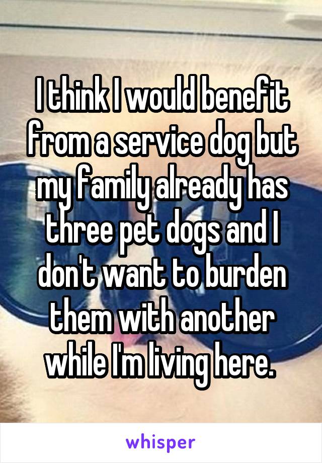 I think I would benefit from a service dog but my family already has three pet dogs and I don't want to burden them with another while I'm living here. 