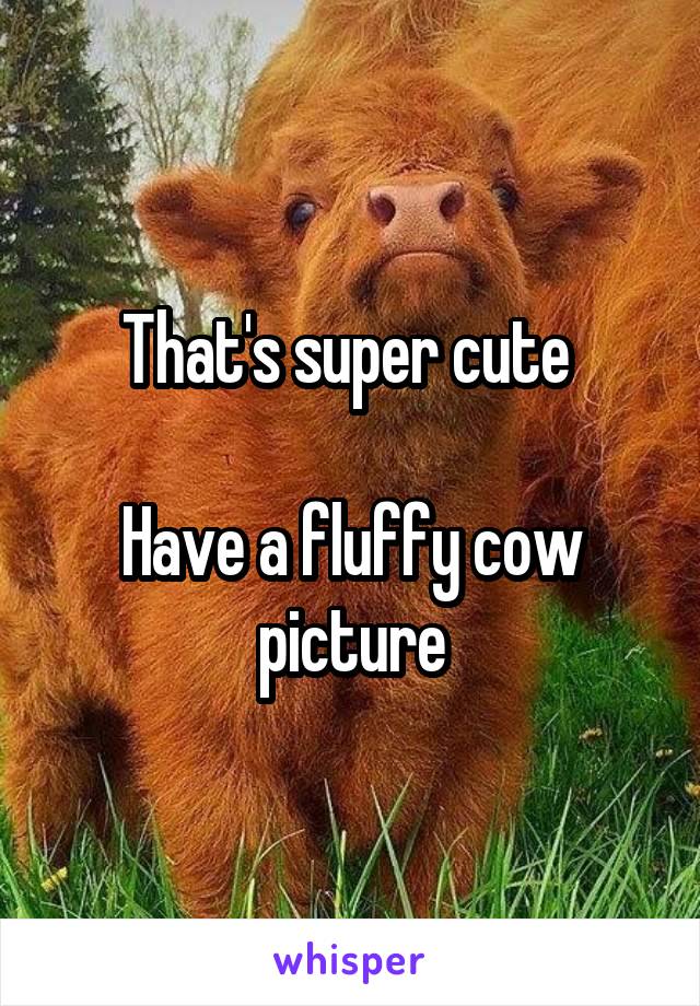 That's super cute 

Have a fluffy cow picture