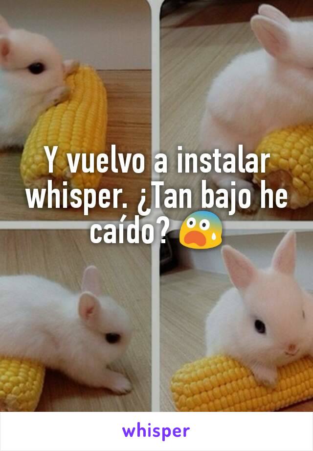 Y vuelvo a instalar whisper. ¿Tan bajo he caído? 😨