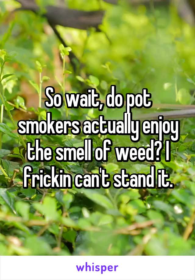 So wait, do pot smokers actually enjoy the smell of weed? I frickin can't stand it.