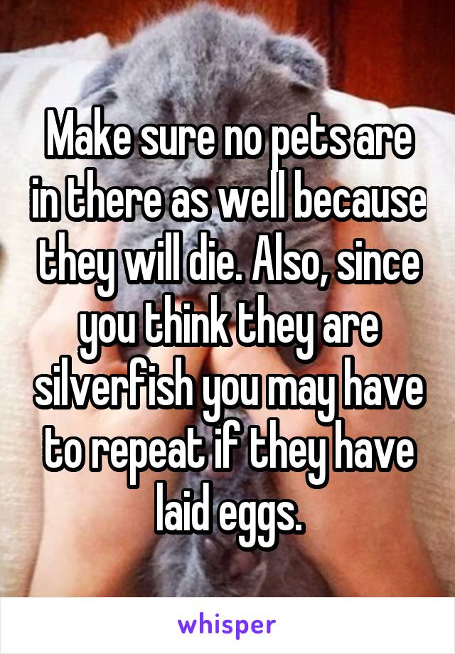 Make sure no pets are in there as well because they will die. Also, since you think they are silverfish you may have to repeat if they have laid eggs.