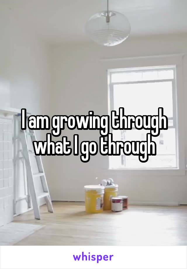 I am growing through what I go through