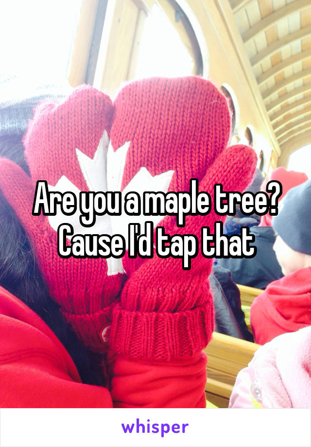 Are you a maple tree? Cause I'd tap that