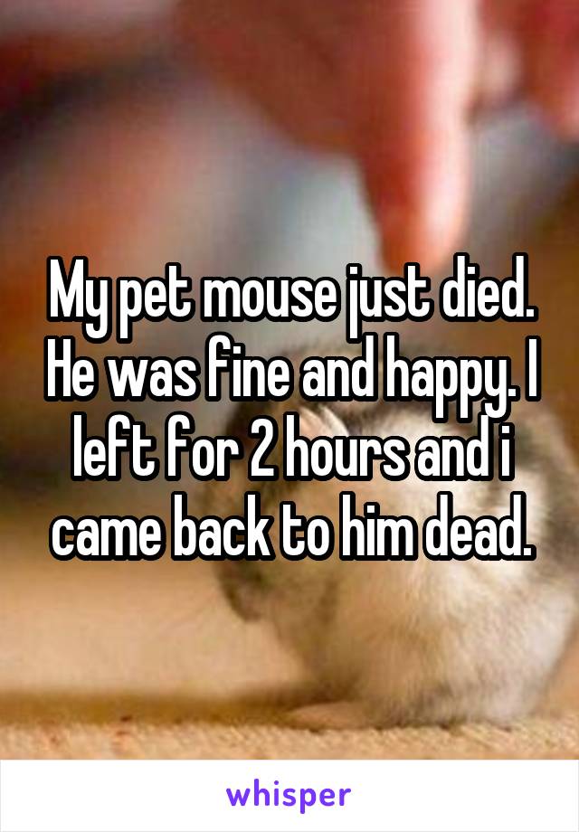 My pet mouse just died. He was fine and happy. I left for 2 hours and i came back to him dead.