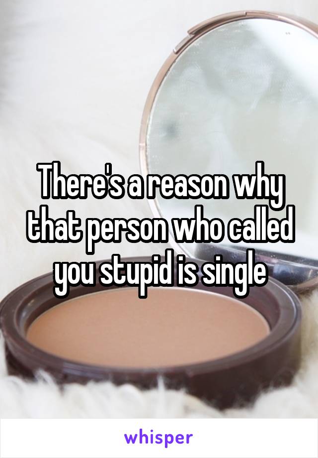 There's a reason why that person who called you stupid is single