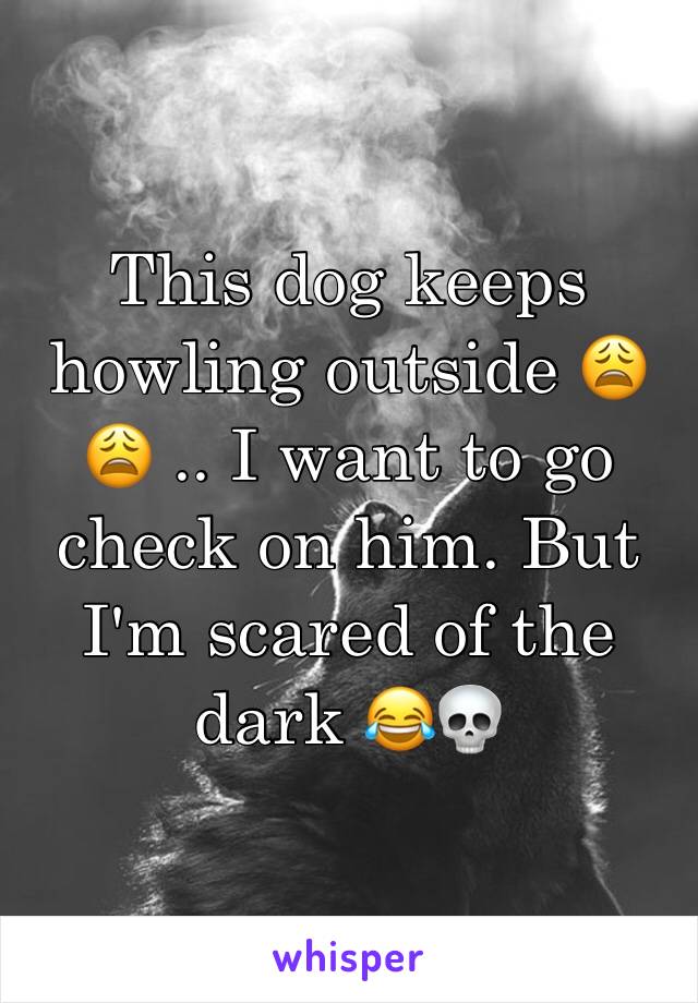 This dog keeps howling outside 😩😩 .. I want to go check on him. But I'm scared of the dark 😂💀