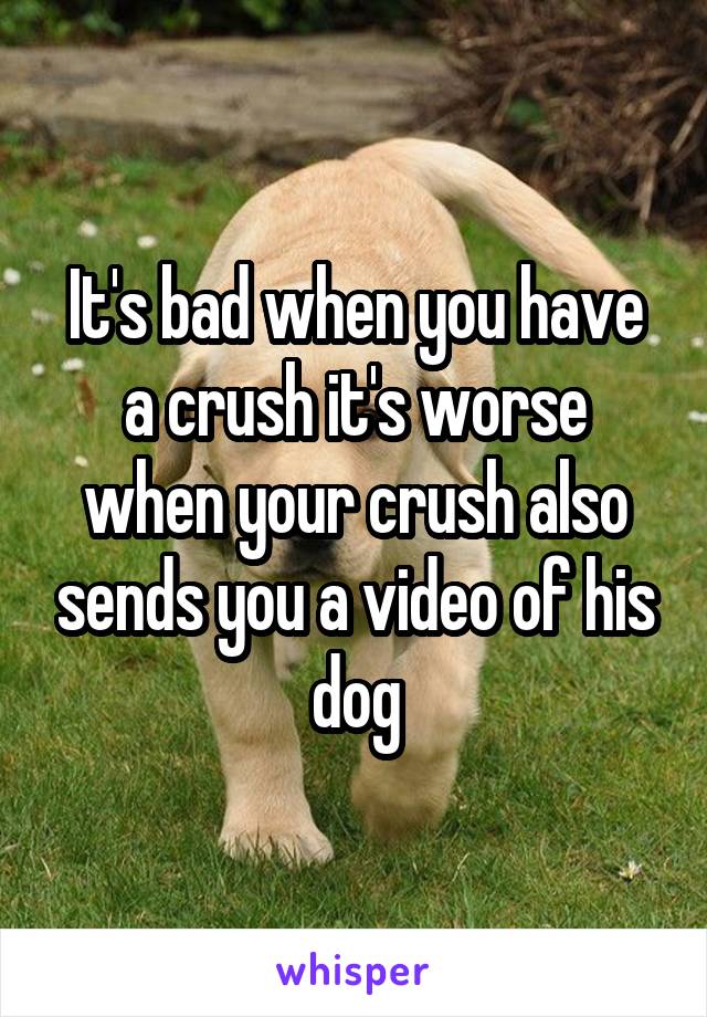 It's bad when you have a crush it's worse when your crush also sends you a video of his dog