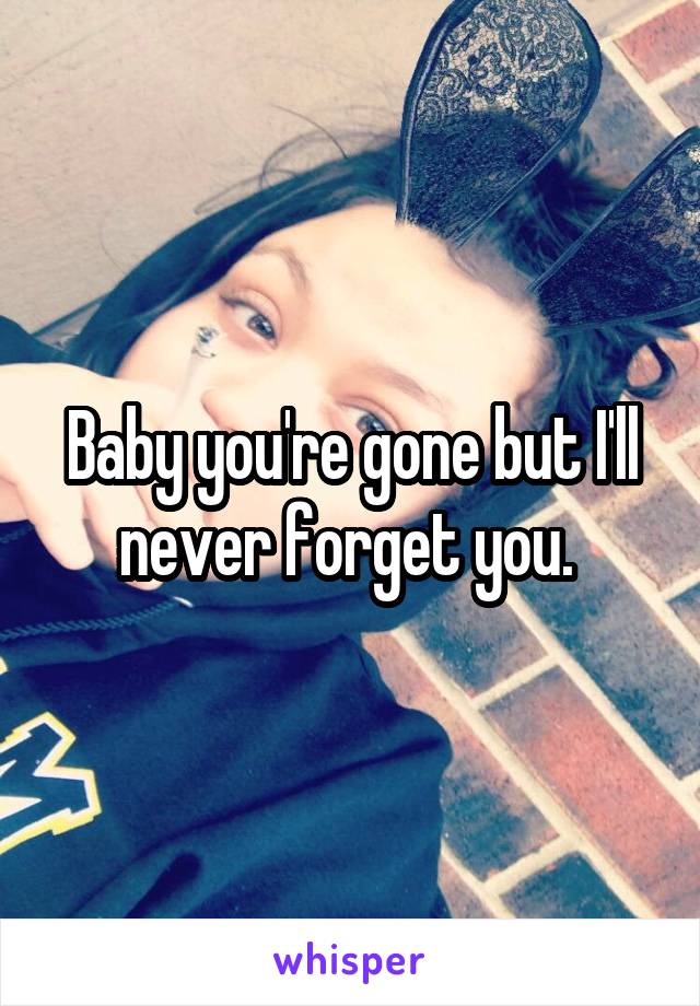 Baby you're gone but I'll never forget you. 