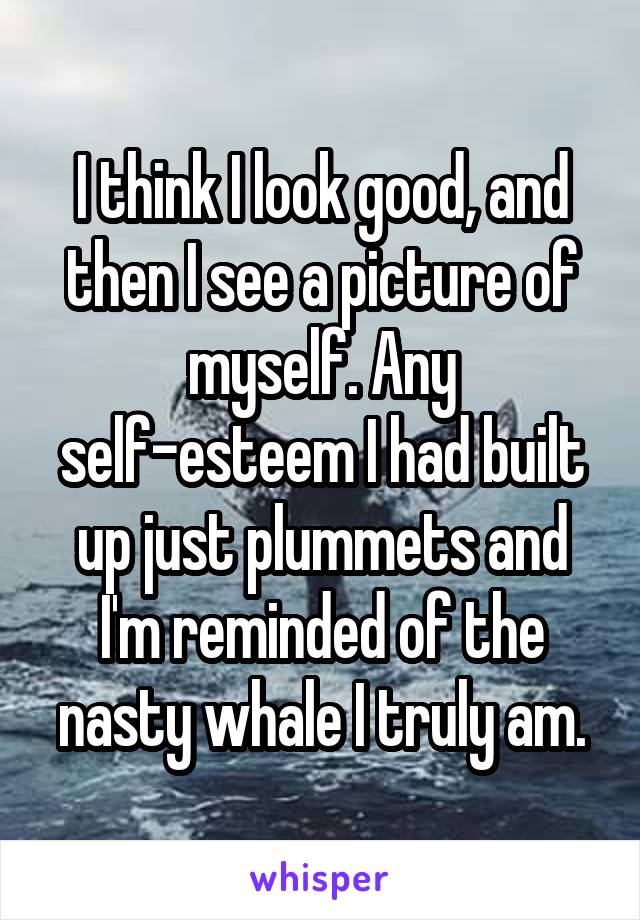 I think I look good, and then I see a picture of myself. Any self-esteem I had built up just plummets and I'm reminded of the nasty whale I truly am.