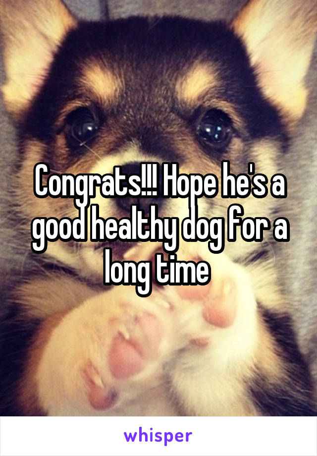 Congrats!!! Hope he's a good healthy dog for a long time 