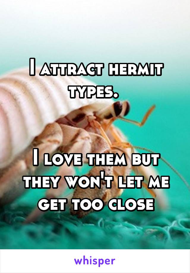 I attract hermit types. 


I love them but they won't let me get too close