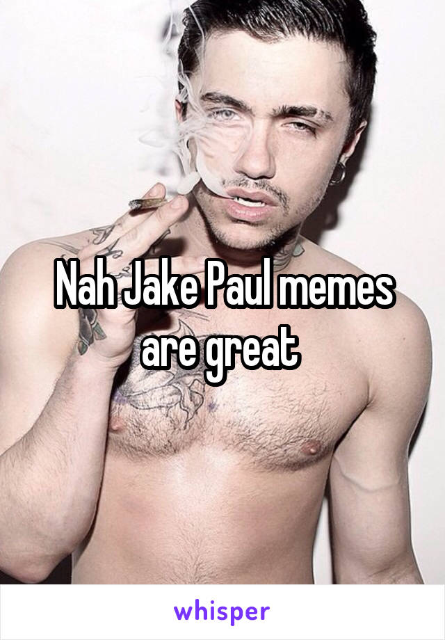 Nah Jake Paul memes are great 