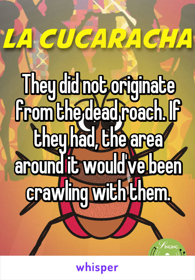 They did not originate from the dead roach. If they had, the area around it would've been crawling with them.