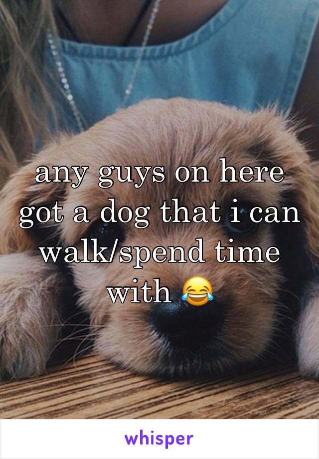 any guys on here got a dog that i can walk/spend time with 😂