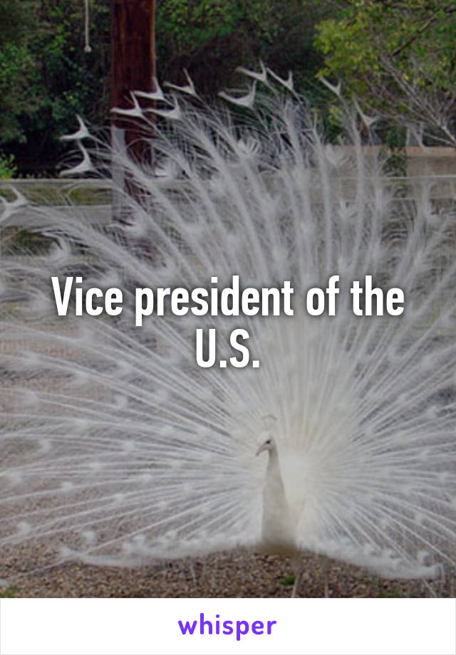 Vice president of the U.S.