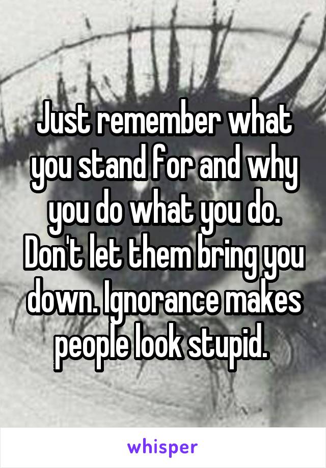 Just remember what you stand for and why you do what you do. Don't let them bring you down. Ignorance makes people look stupid. 