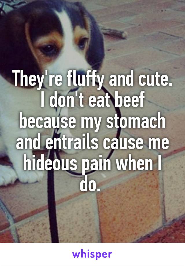 They're fluffy and cute. I don't eat beef because my stomach and entrails cause me hideous pain when I do. 