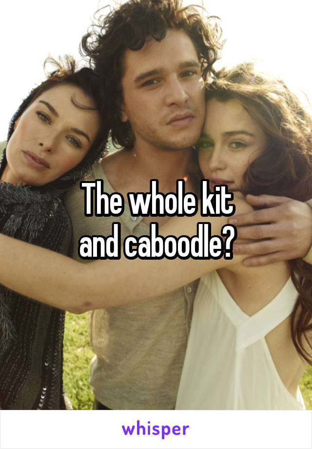 The whole kit
and caboodle?