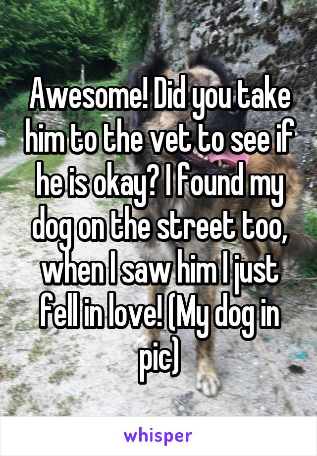 Awesome! Did you take him to the vet to see if he is okay? I found my dog on the street too, when I saw him I just fell in love! (My dog in pic)