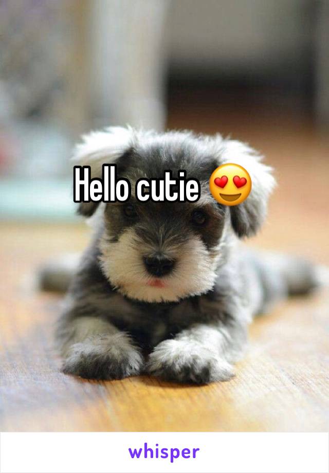 Hello cutie 😍