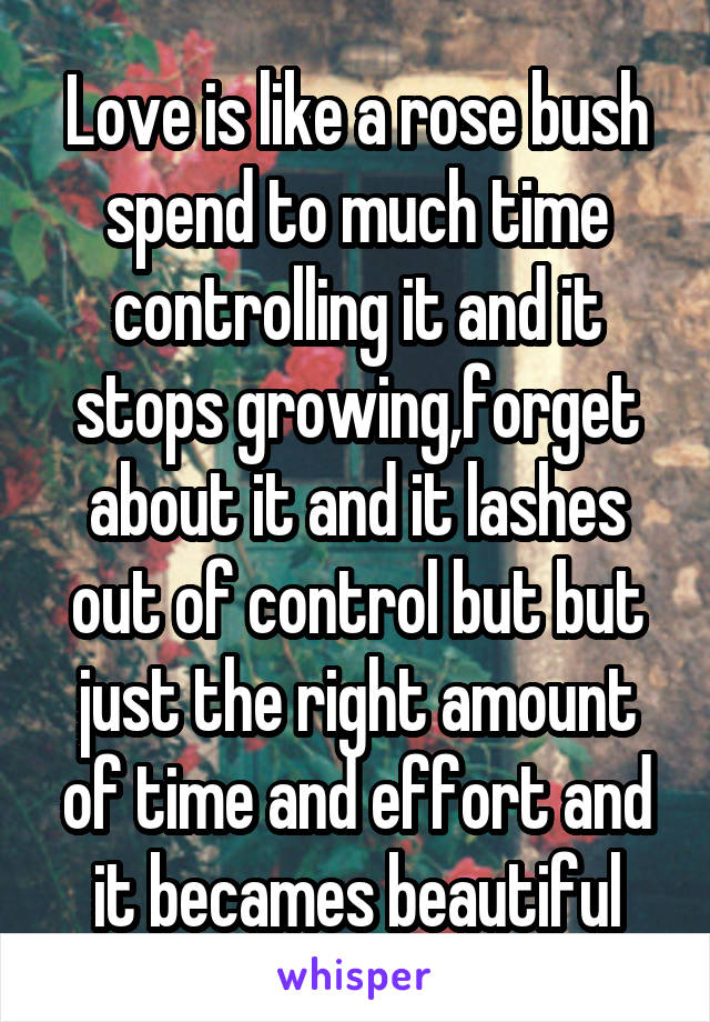 Love is like a rose bush spend to much time controlling it and it stops growing,forget about it and it lashes out of control but but just the right amount of time and effort and it becames beautiful