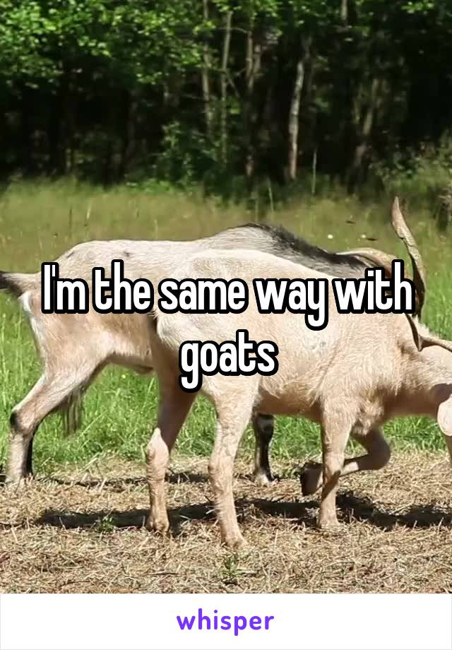 I'm the same way with goats