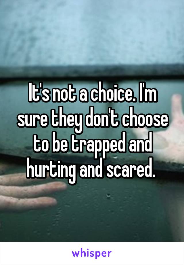 It's not a choice. I'm sure they don't choose to be trapped and hurting and scared. 