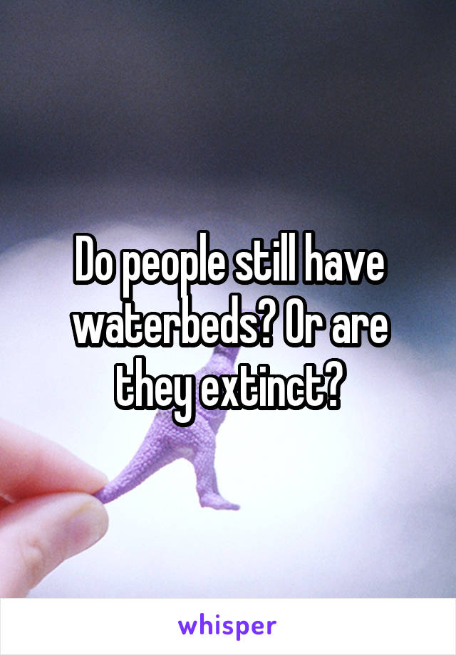 Do people still have waterbeds? Or are they extinct?