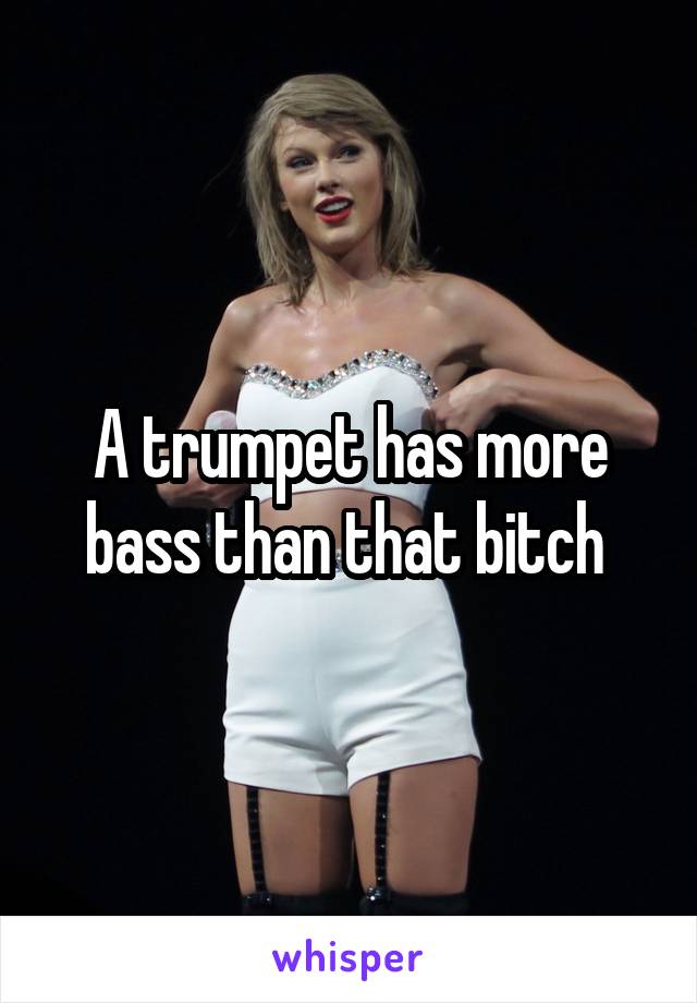 A trumpet has more bass than that bitch 