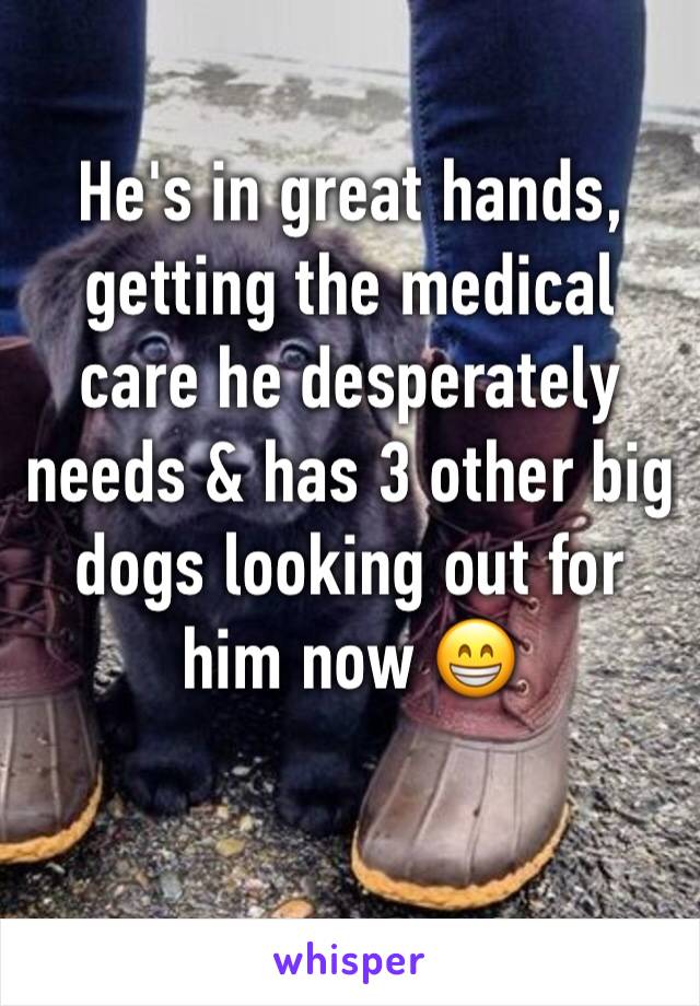 He's in great hands, getting the medical care he desperately needs & has 3 other big dogs looking out for him now 😁