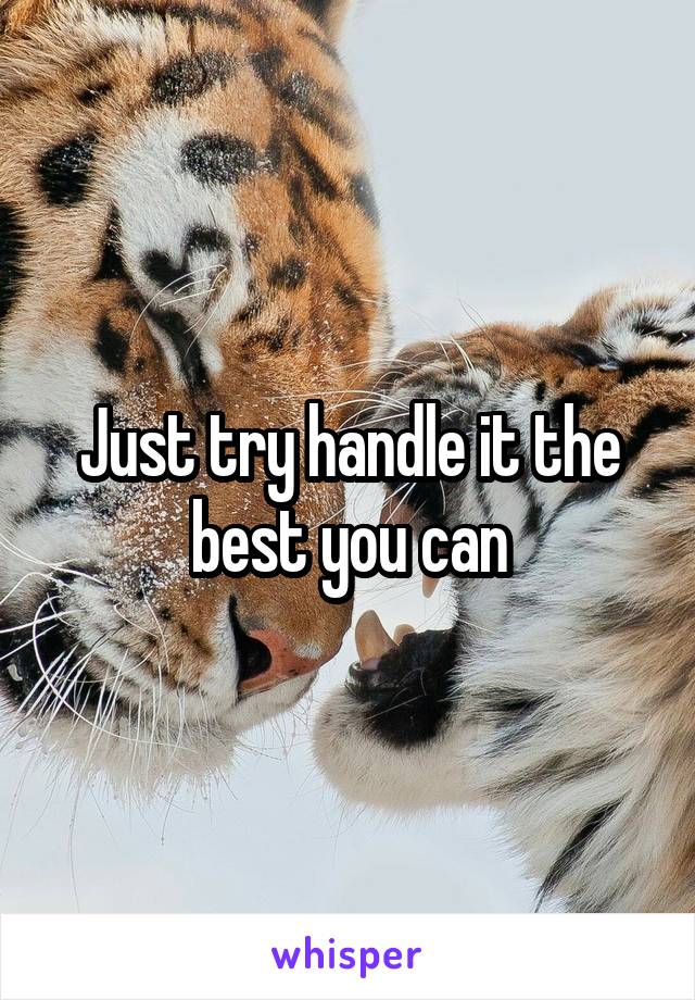 Just try handle it the best you can