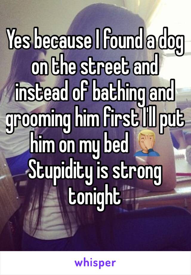 Yes because I found a dog on the street and instead of bathing and grooming him first I'll put him on my bed 🤦🏼‍♂️
Stupidity is strong tonight 