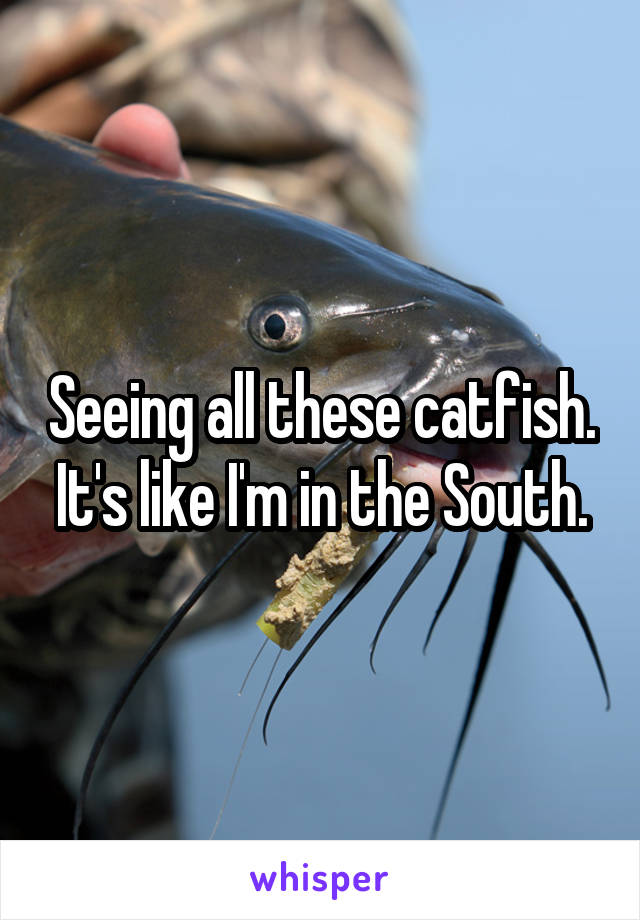 Seeing all these catfish. It's like I'm in the South.