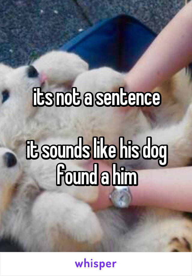 its not a sentence

it sounds like his dog found a him