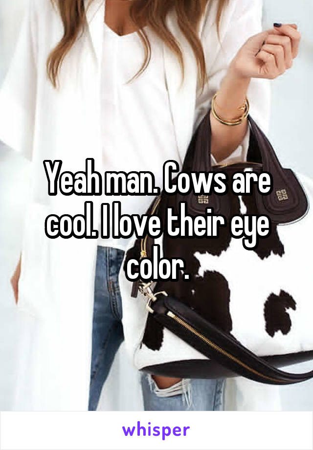Yeah man. Cows are cool. I love their eye color.