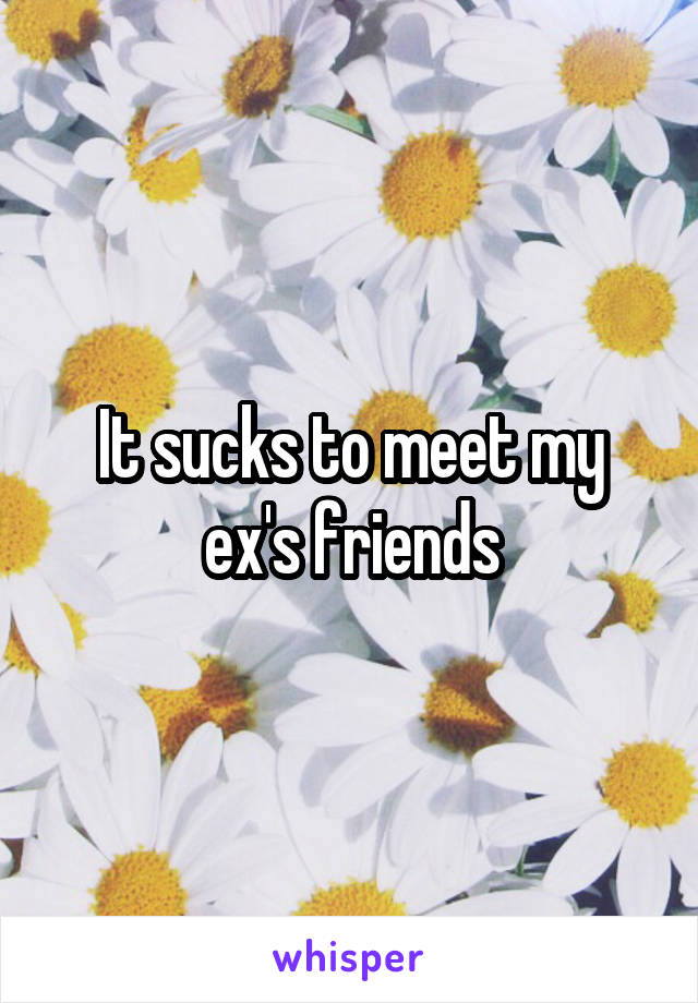 It sucks to meet my ex's friends