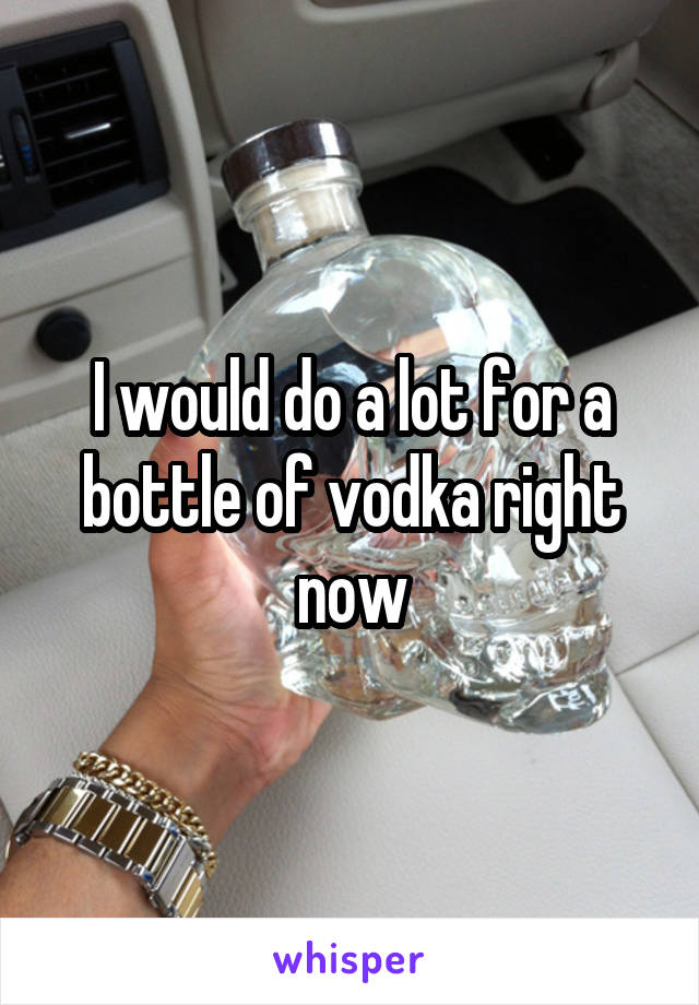 I would do a lot for a bottle of vodka right now