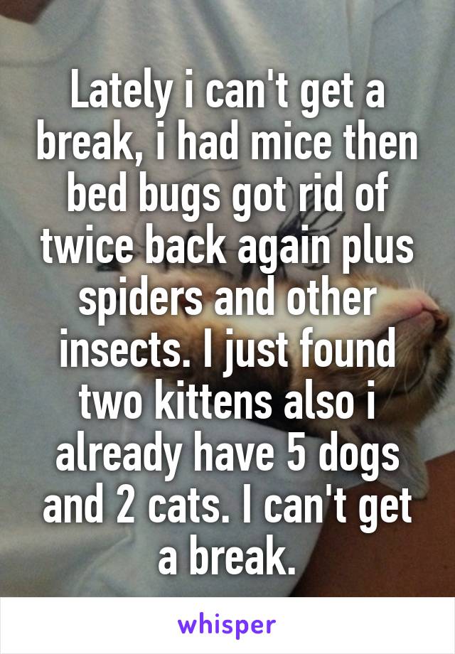 Lately i can't get a break, i had mice then bed bugs got rid of twice back again plus spiders and other insects. I just found two kittens also i already have 5 dogs and 2 cats. I can't get a break.