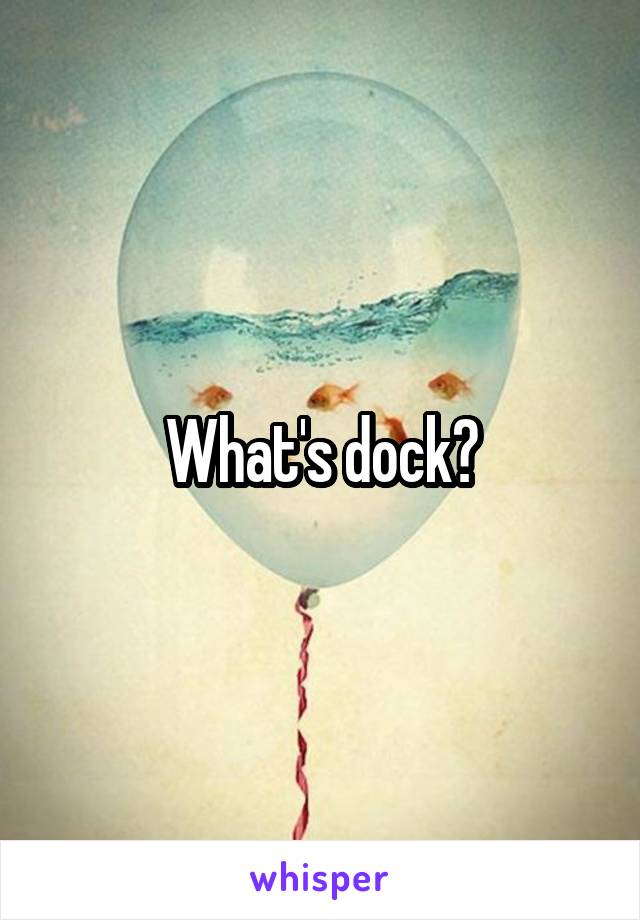 What's dock?