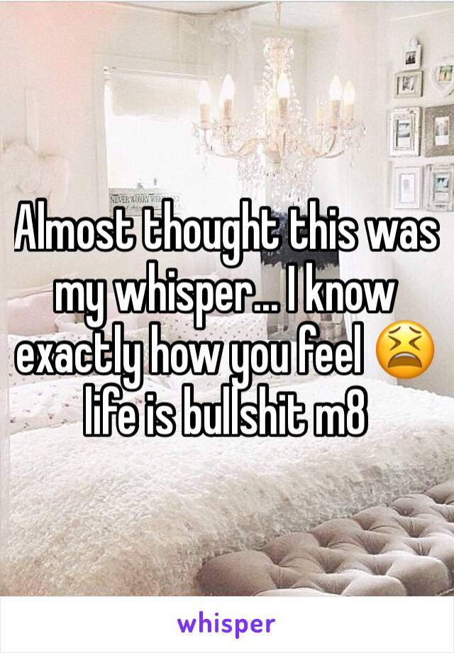 Almost thought this was my whisper... I know exactly how you feel 😫 life is bullshit m8