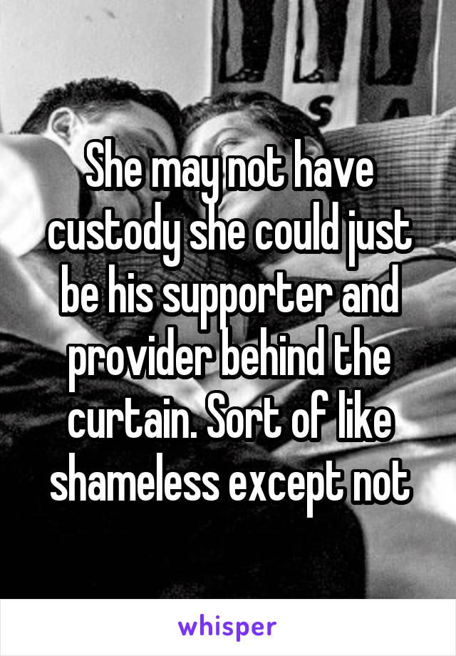 She may not have custody she could just be his supporter and provider behind the curtain. Sort of like shameless except not