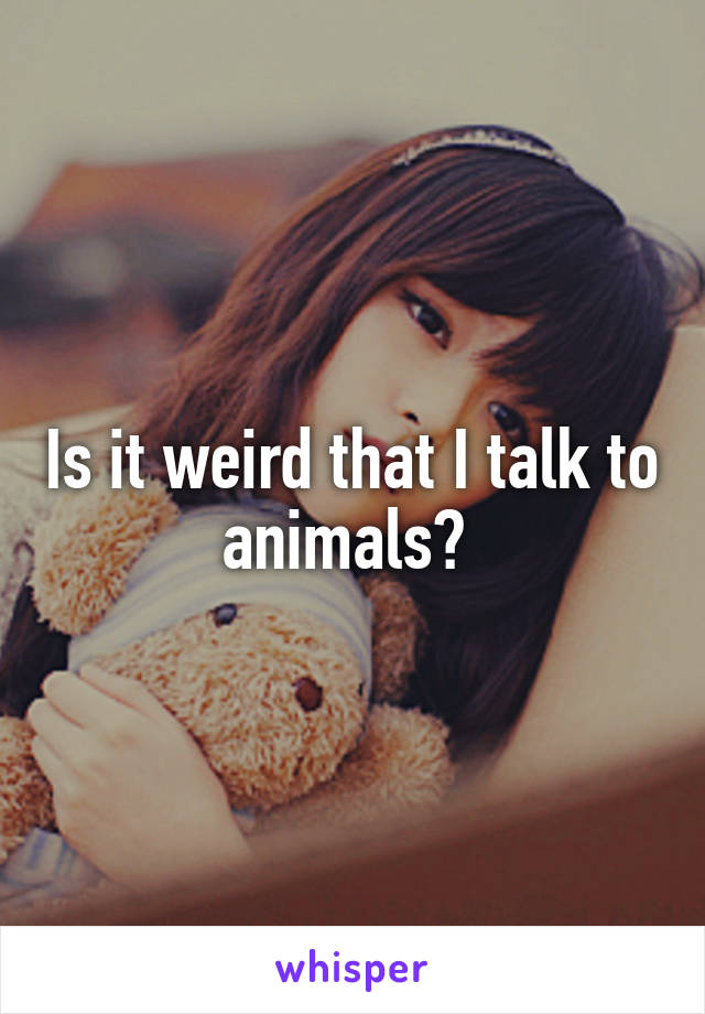 Is it weird that I talk to animals? 