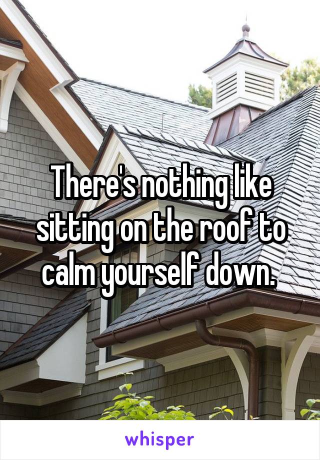 There's nothing like sitting on the roof to calm yourself down. 