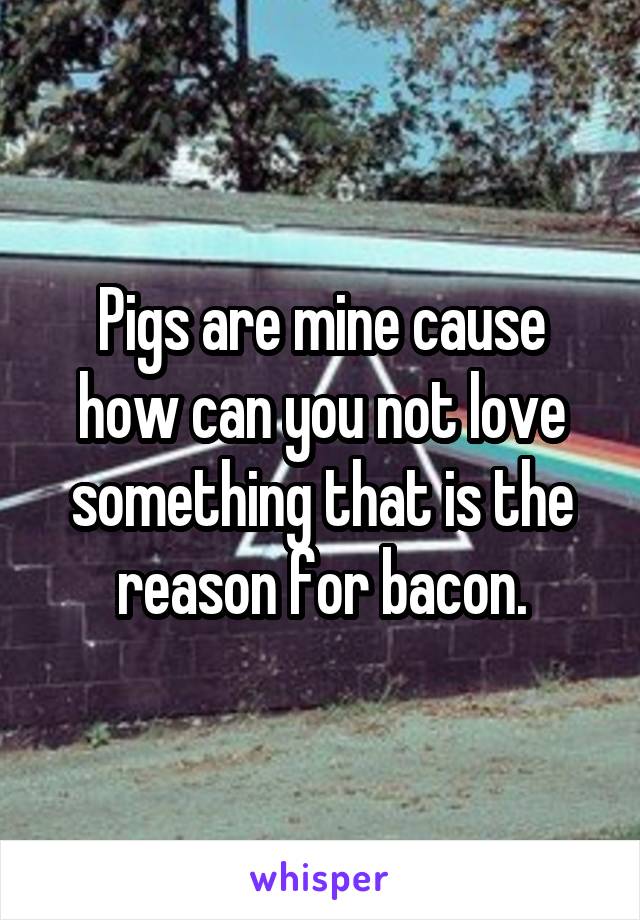 Pigs are mine cause how can you not love something that is the reason for bacon.