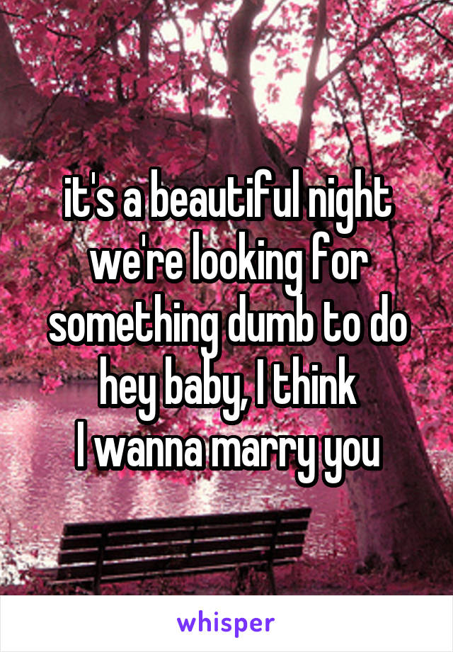 it's a beautiful night
we're looking for something dumb to do
hey baby, I think
I wanna marry you