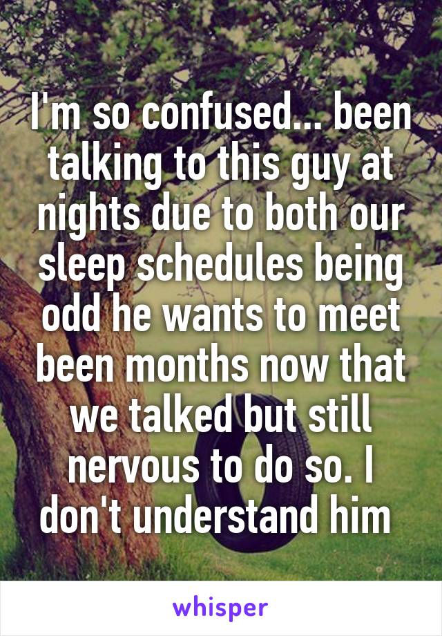 I'm so confused... been talking to this guy at nights due to both our sleep schedules being odd he wants to meet been months now that we talked but still nervous to do so. I don't understand him 