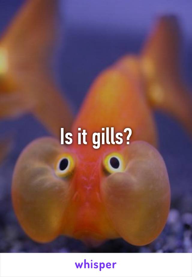 Is it gills?