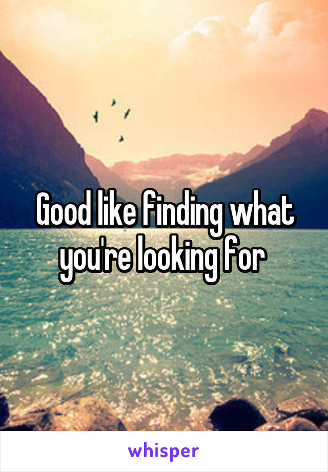 Good like finding what you're looking for 